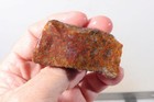 Morocco Kerrouchen Seam Agate 10.4 oz lapidary faced rough Lot C2 — photo 10