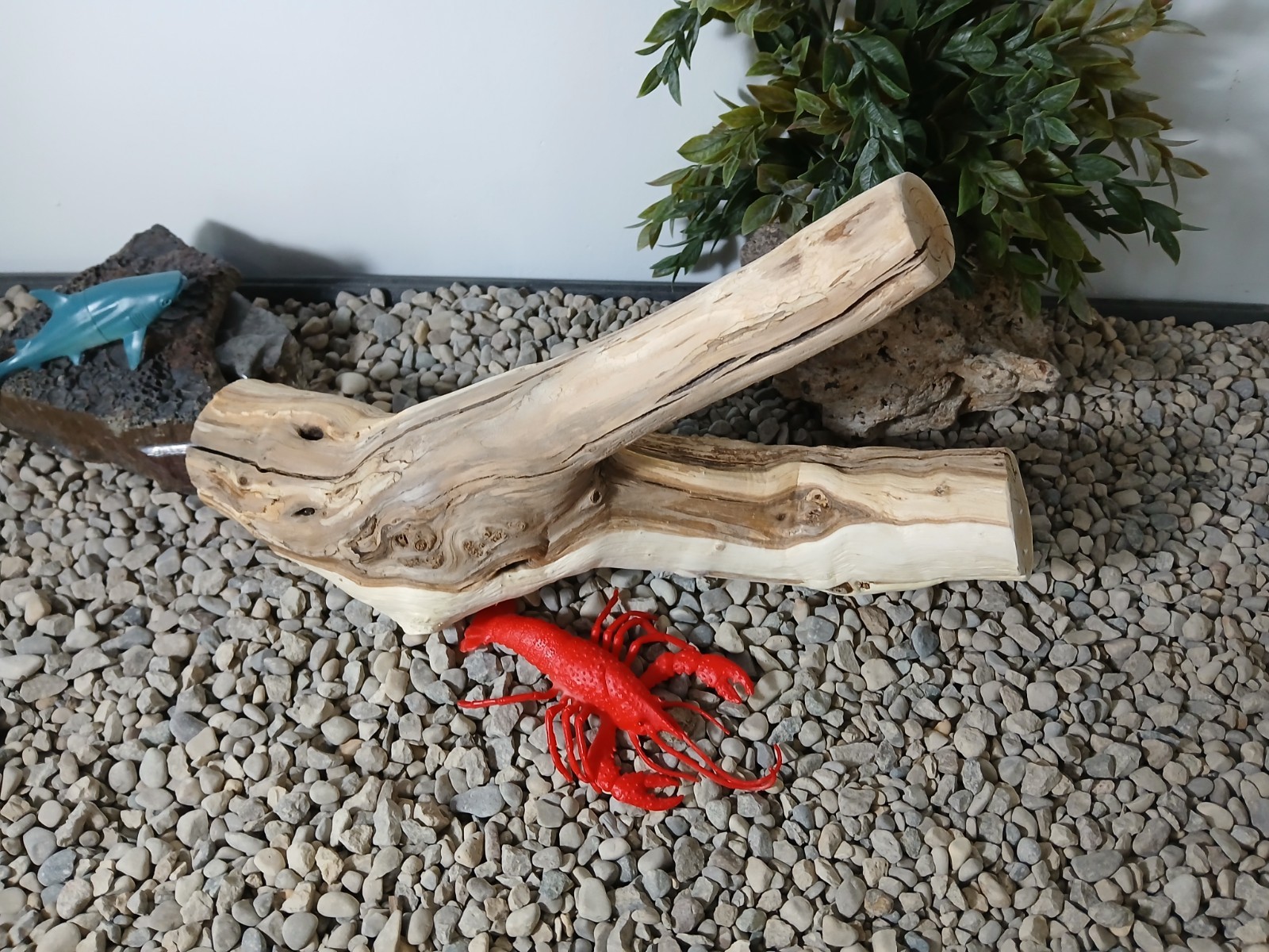 Bild 4 von 7