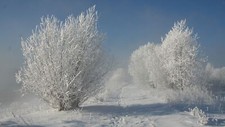 Landscape nature snow winter frost cold ice Custom Gaming Mat Desk