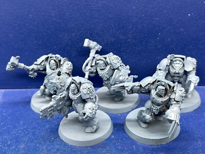 5 Wolfguard Terminatoren der Space Wolves
