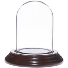 Plymor 2" x 3" Mini Glass Display Dome Cloche Dark Mahogany Veneer Base 