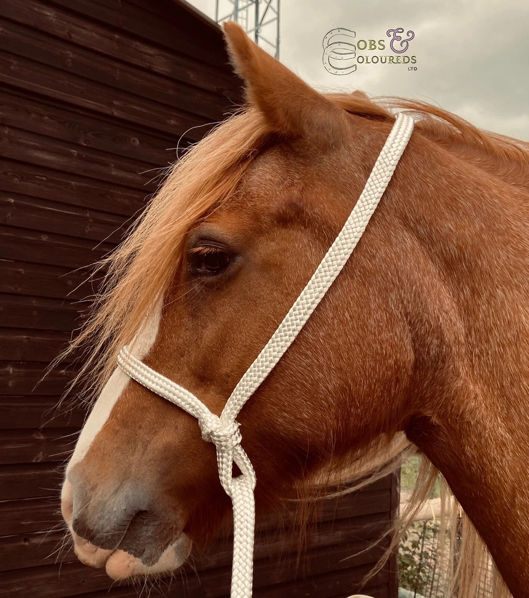 PARACHUTE ROPE HALTER FOR SHIRE CLYDESDALE HEAVY HORSE 10FT LEADROPE
