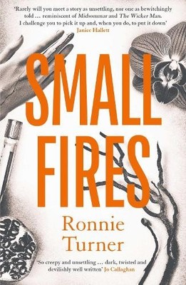 Small Fires: This year's most unsett..., Turner, Ronnie