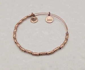 Alex and Ani Infused with energy Rafaelian Gold Charm Bracelet