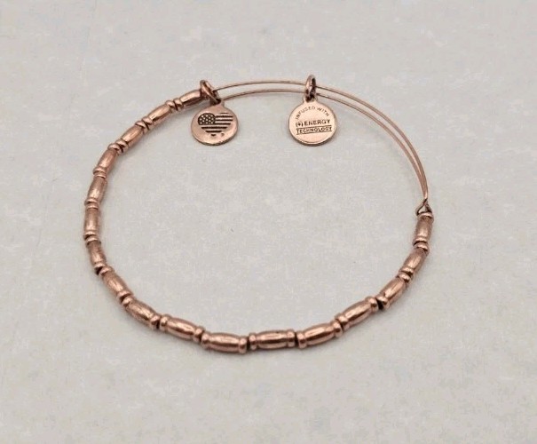 Alex and Ani Infused with energy Rafaelian Gold Charm Bracelet