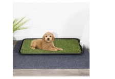 Indoor Puppy Pet Potty Training Pee Cat Toilet Pad Dog Grass Mat Dogs Turf Green