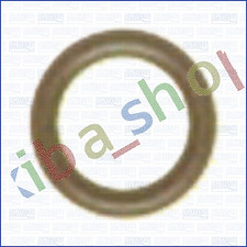 VACUUM PUMP GASKET SET AXIAL CROSS-SECTION 15MM FOR VAG ENGINES INNER DIAMETER