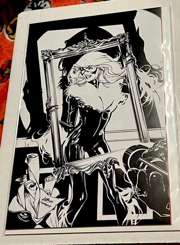 1:25 AMAZING SPIDER-MAN #2 VIRGIN B&W 2nd Print LOW PRINT  BLACK CAT  LOBOS