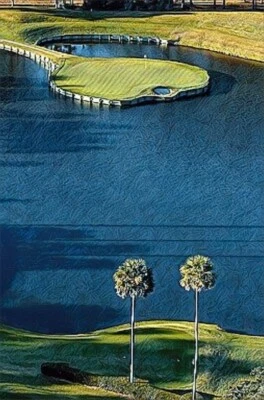Classic Sports Prints - TPC Sawgrass 17th Golf -Ready2Hang-HUGE canvas - Image 1 of 3