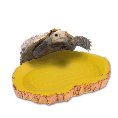 turtle water dish