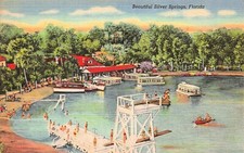 Silver Springs FL Florida Pool Glass Bottom Boats Mermaids Vtg Postcard F24