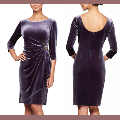 Alex Evenings Women's Ruched Velvet Dress (16, Amethyst)
