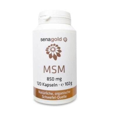 MSM Kapseln 850 mg 120 St
