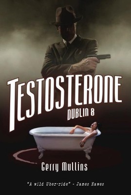 Testosterone by Gerry Mullins - 9781912589135