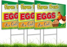 8x12 Inch 3X Double Sided Plastic Sign With H-Stakes Eggs for Sale colorfull