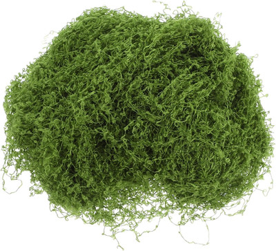 Artificial Miniature Vines - 10G Simulation Vine for Model Railway Scenery Garde