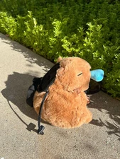 Capybara Snore Chalk Bag