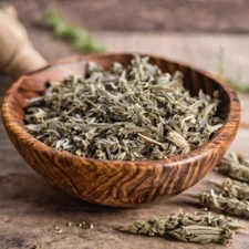 Mugwort Herb (Artemisia vulgaris) - Dreams - Mugwort Tea - USA