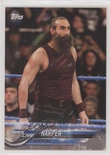 2018 Topps WWE Then Now Forever Mr Brodie Lee Harper #134 ke4