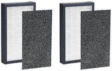 Filter E FLT4100: True HEPA Filter Replacement for GermGuardian FLT4100 Filter E, 2 Packs