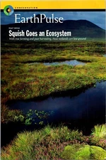 Conservation Peat Bogs Squish goes an Ecosystem Original Vintage Print Ad