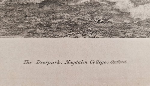 Antique 1892 Photogravure Deer Park Magdalen College Oxford after J.H. Lorimer (photo 4)