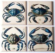 Blue Crab FRIDGE MAGNET Set "style D"