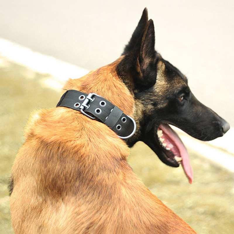 Tactical Heavy Duty Nylon Large Dog Collar K9 Military Metal Buckle