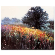 Misty Morning III by Friedman Gallery-Wrap Canvas Giclee Wall Art(29 in x 35 in)