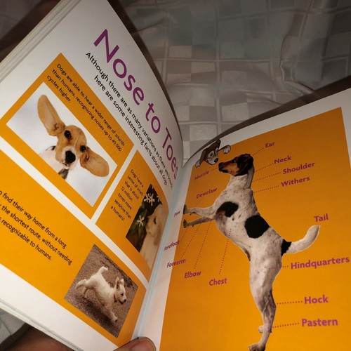 American Girl "Girls and their Dogs" Book & The Dog "The Best Friend Book" - Picture 6 of 9