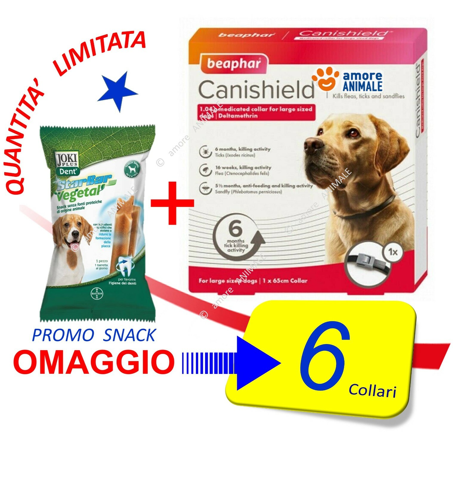Beaphar Canishield (+PS)  Collare antiparassit. CANE grande (65 cm) = $calibor img