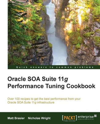 Matthew Brasier (u. a.) | Oracle Soa Suite 11g Performance Cookbook | Buch