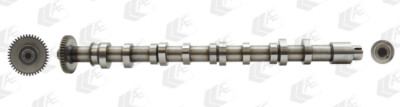 AE CAM962 Camshaft for Audi, Seat, Skoda, VW