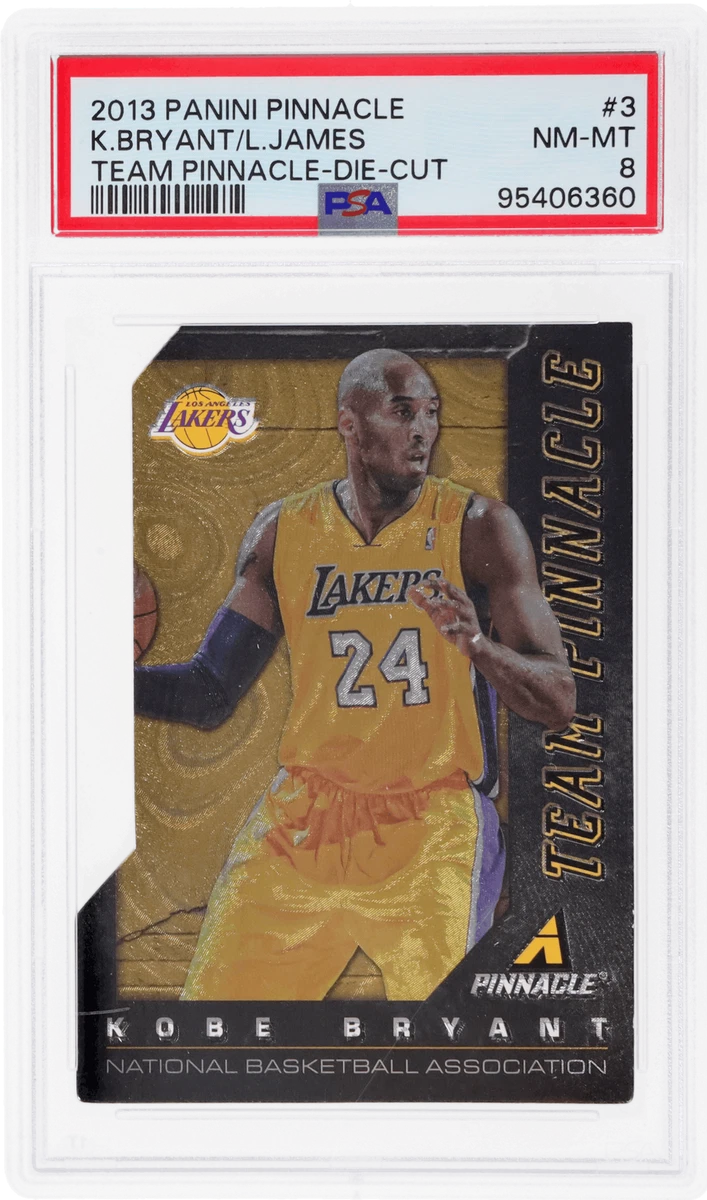 Pinnacle Basketball 2013-14 Season Sports Trading Cards