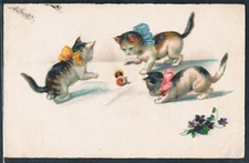 Y119 CATS Kitten KATZE CHAT VIOLETS Fine LITHO 