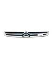 Calandre Citroen HY