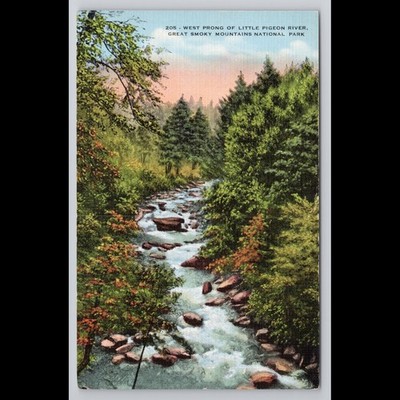 Vintage Postcard Great Smoky Mountains Tennessee Unposted Scenic View Historic
