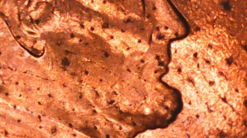 2019 D LINCOLN SHIELD CENT -RPM/DDO-001,DDR/strike Thru Cloth, #MSSC-051 - Picture 8 of 11