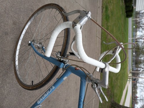 schwinn world traveler