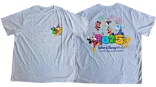 Disney Adult Shirt - 2025 Walt Disney World Mickey and Friends Tee