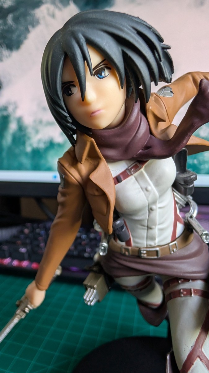Attack On Titan Mikasa Ackerman 7