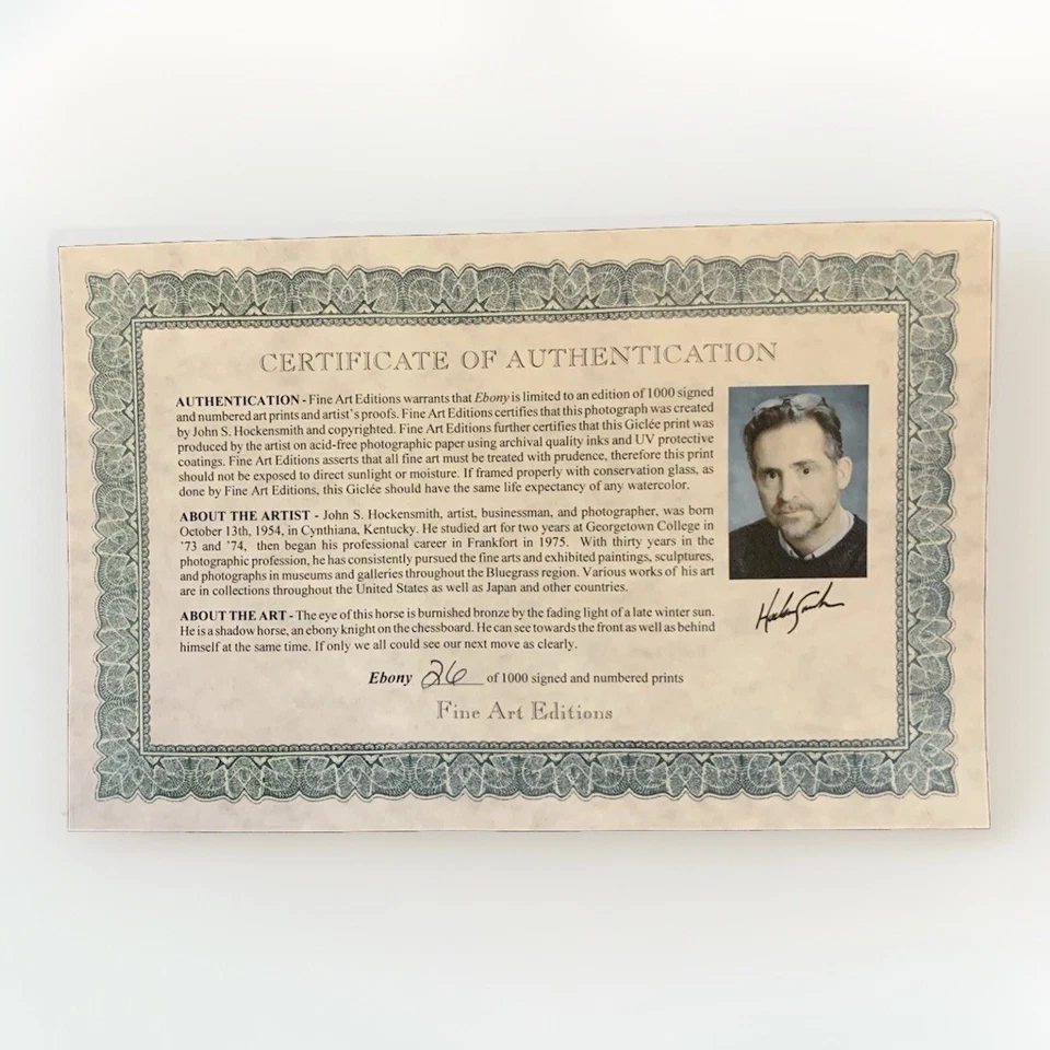 Ebony by John S. Hockensmith - Fine Art Print #26/1000 COA Framed Horse Art - Image 3 of 4