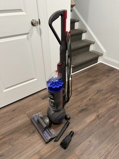 Dyson Ball Animal 2 Upright Vacuum Cleaner UP20 | Iron/Purple |