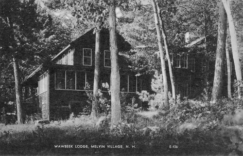 Melvin Village New Hampshire Wawbeek Lodge Scenic View Antique Postcard