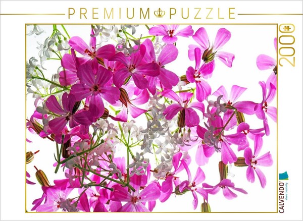 Calvendo Puzzle Blossom Dream | 2000 Pieces, Finished Size 35.4 × 26.4 In (90 ×-image