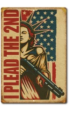 I Plead The 2nd Amendment Tin Sign 8x12 Aluminum Patriotic Gun Rights Wall Decor