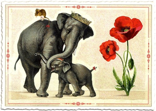 Edition Tausendschön | Postkarte A6 | Flora & Fauna | Motiv wählbar - Bild 66 von 78