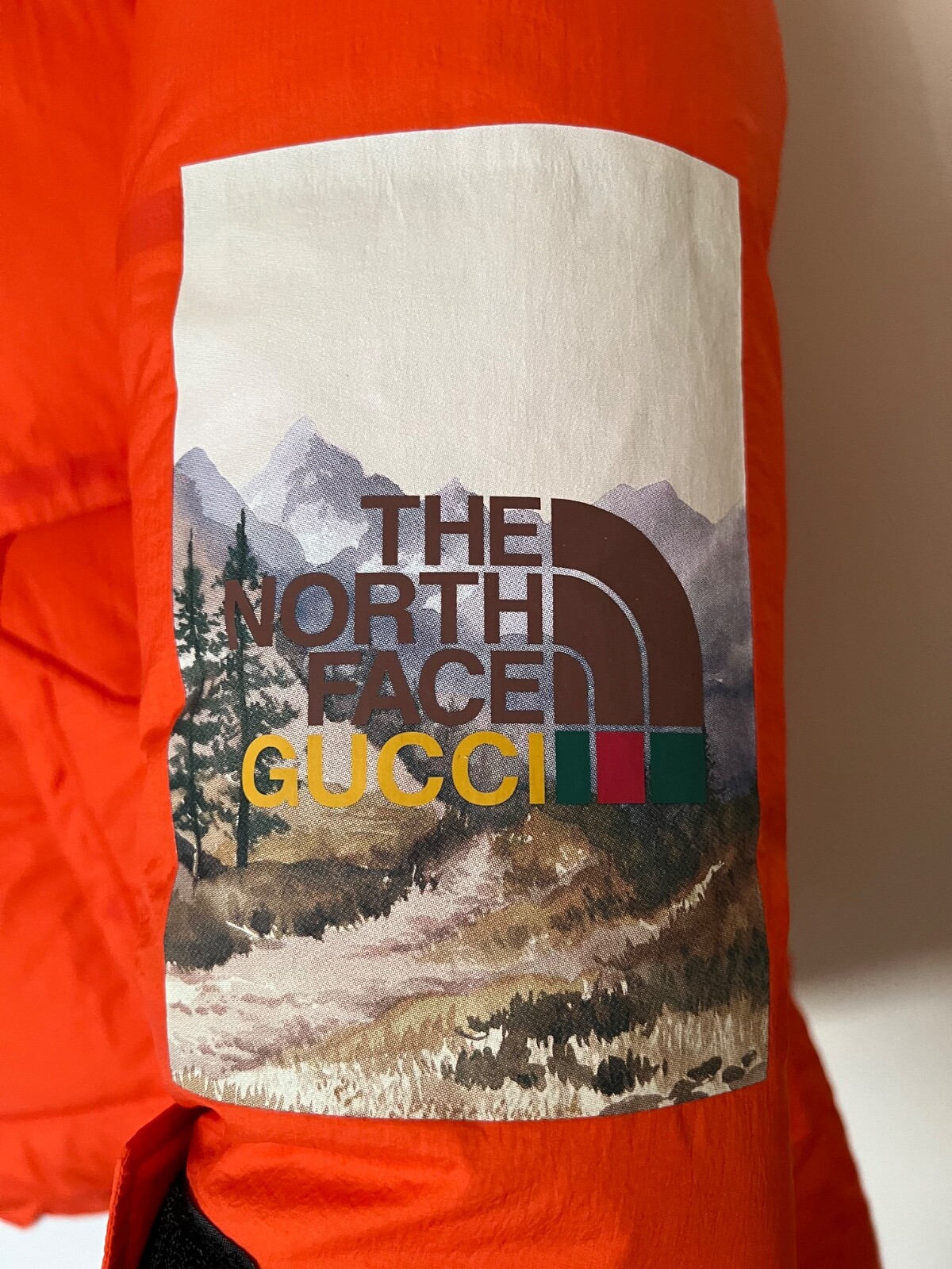 BNWT Authentic Gucci X The North Face Coat Medium image 6