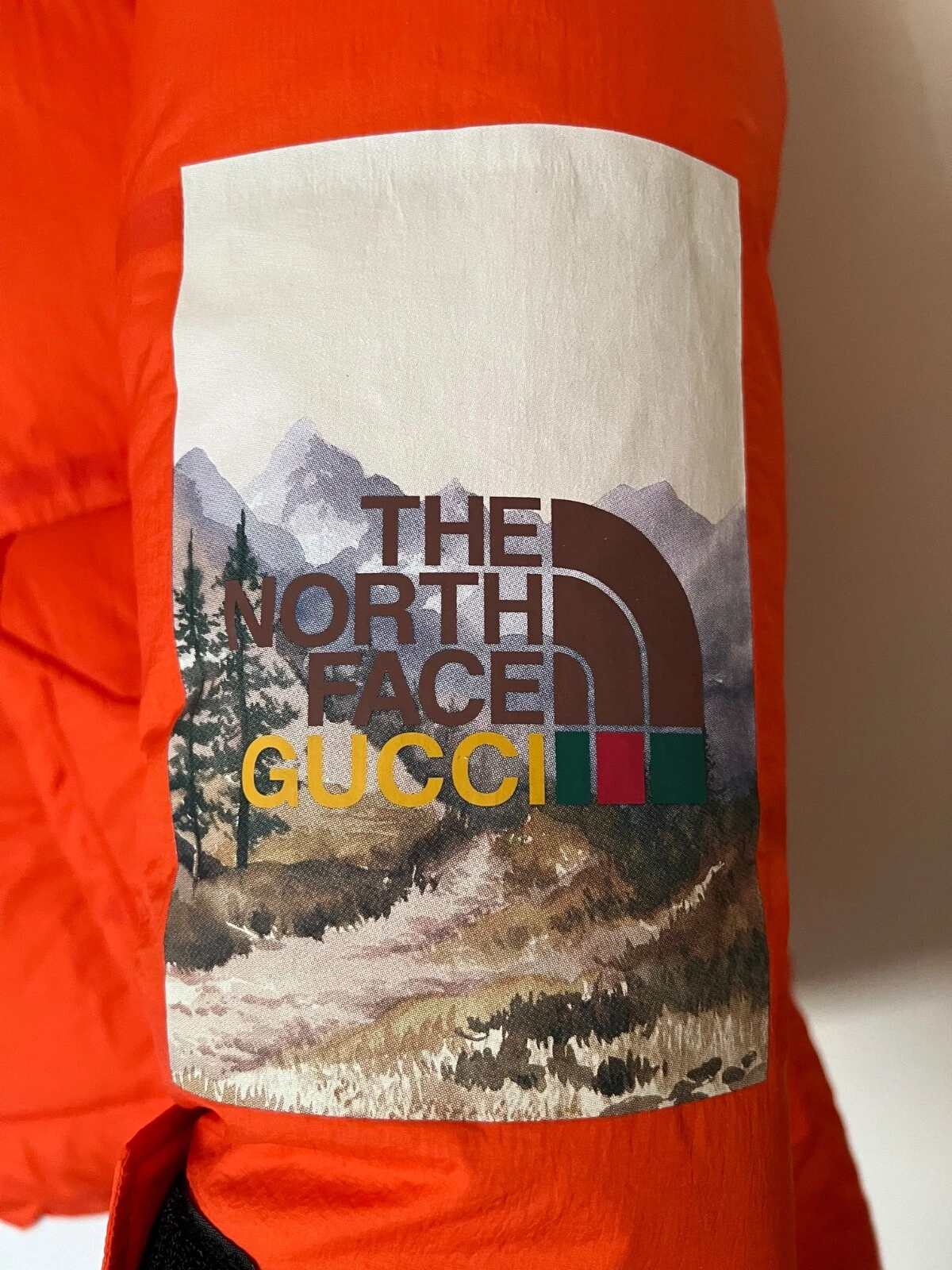Cappotto medio Gucci X The North Face autentico nuovo con etichette