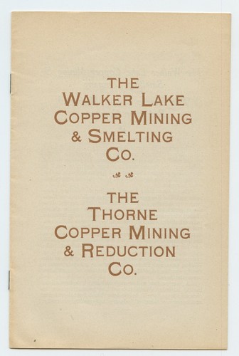 1905 THE WALKER LAKE COPPER MINING & SMELTING CO. Nevada Brochure - 第 1/9 張圖片